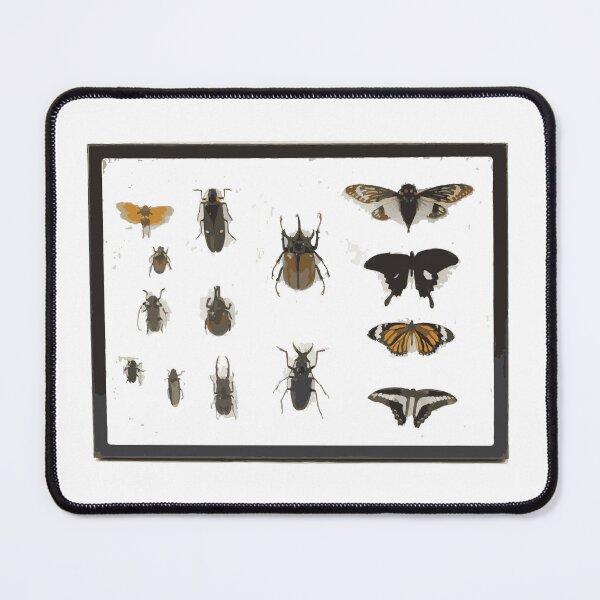 Item preview, Insect Pin Board designed and sold by Corner-Distro.