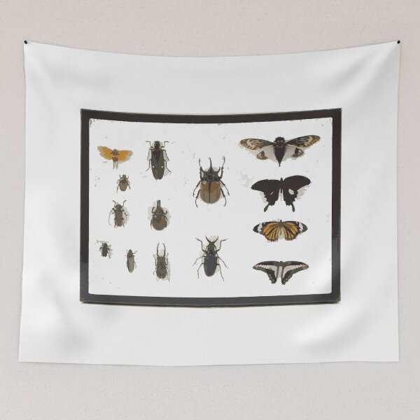 Item preview, Insect Pin Board designed and sold by Corner-Distro.