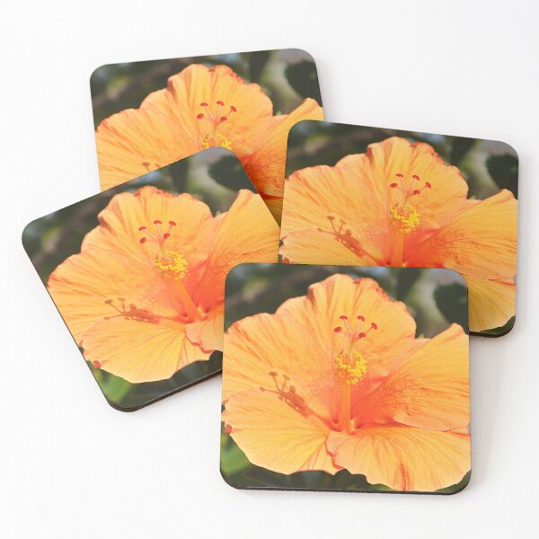 Item preview, Bright Orange Chinese Hibiscus Flower fully open designed and sold by IPPhotography.