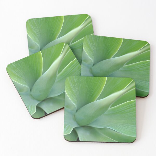 Item preview, Close up of a Green Foxtail Agave Succulent designed and sold by IPPhotography.