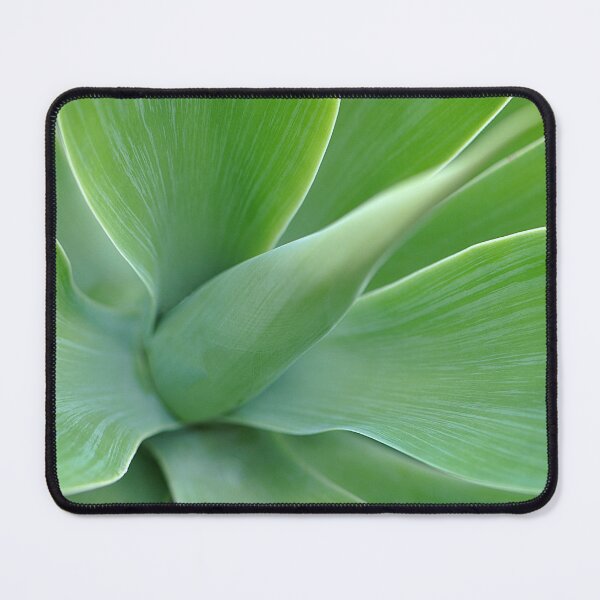 Item preview, Close up of a Green Foxtail Agave Succulent designed and sold by IPPhotography.