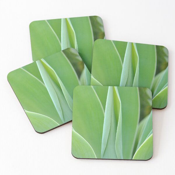 Item preview, Foxtail Agave Green Plant Succulent designed and sold by IPPhotography.