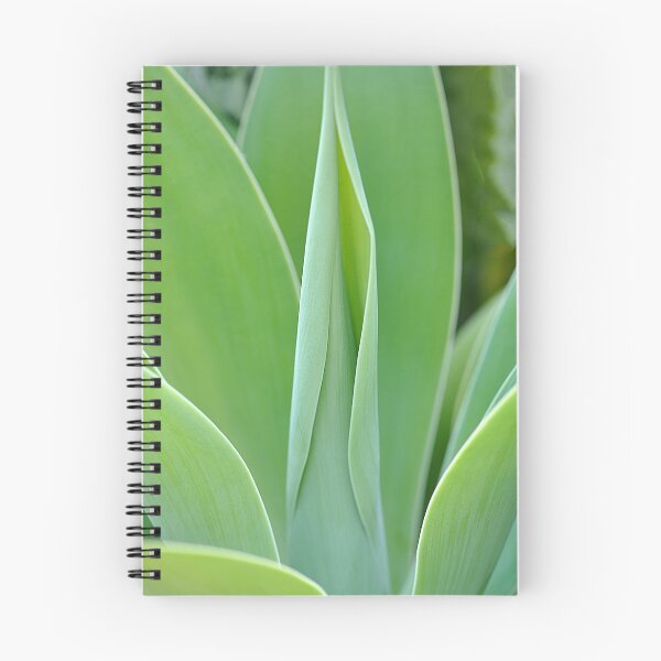 Artikelvorschau, Fuchsschwanz-Agave, grüne Pflanze, Sukkulente entworfen und verkauft von IPPhotography.