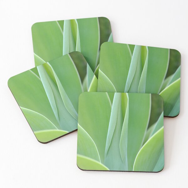Item preview, Green Foxtail Agave Succulent designed and sold by IPPhotography.