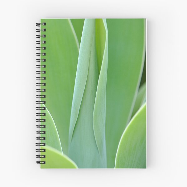 Item preview, Green Foxtail Agave Succulent designed and sold by IPPhotography.