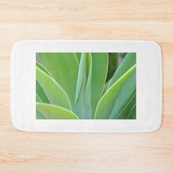 Item preview, Green Foxtail Agave Succulent designed and sold by IPPhotography.