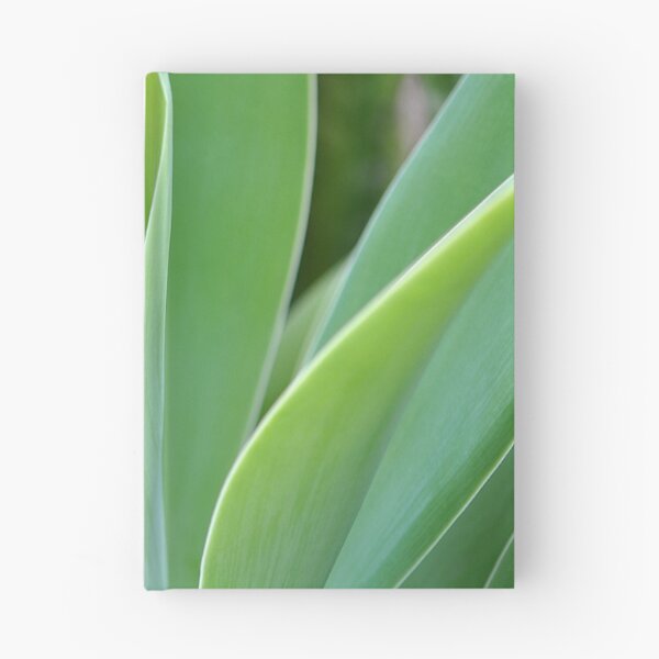 Item preview, Green Foxtail Agave Succulent designed and sold by IPPhotography.