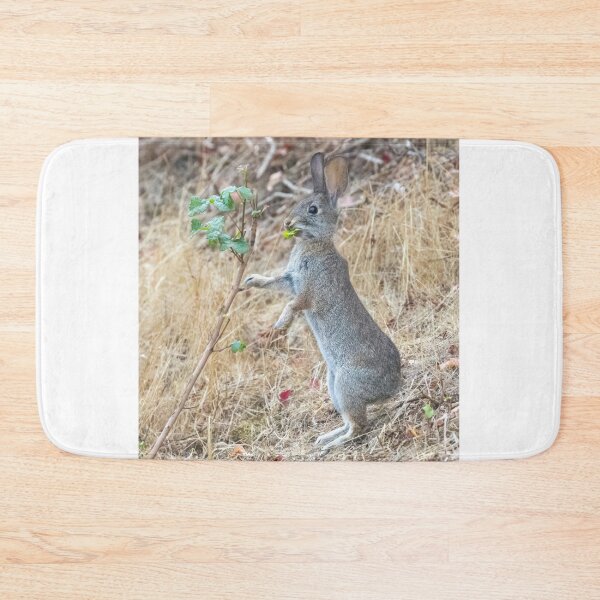 Item preview, Eastern Cottontail Rabbit Eating Pacific Poison Oak designed and sold by yhelfman.