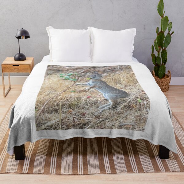 Item preview, Eastern Cottontail Rabbit Eating Pacific Poison Oak designed and sold by yhelfman.