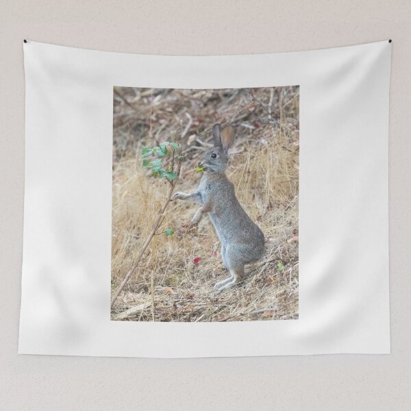 Item preview, Eastern Cottontail Rabbit Eating Pacific Poison Oak designed and sold by yhelfman.