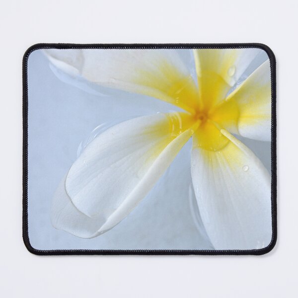 Item preview, White and Yellow Frangipani Flower floating in water designed and sold by IPPhotography.