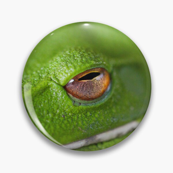 Item preview, Green Frog designed and sold by Philip Alexander.