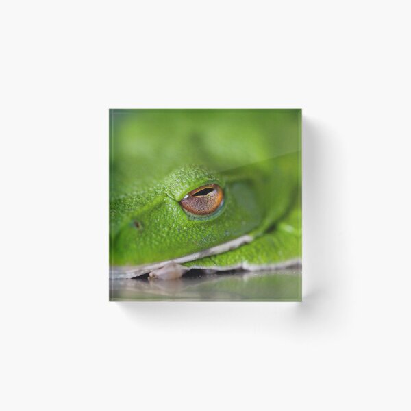 Item preview, Green Frog designed and sold by Philip Alexander.