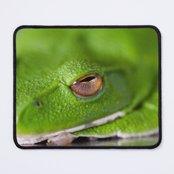Item preview, Green Frog designed and sold by Philip Alexander.