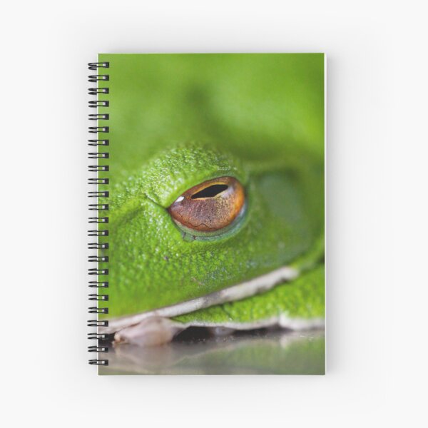 Item preview, Green Frog designed and sold by Philip Alexander.