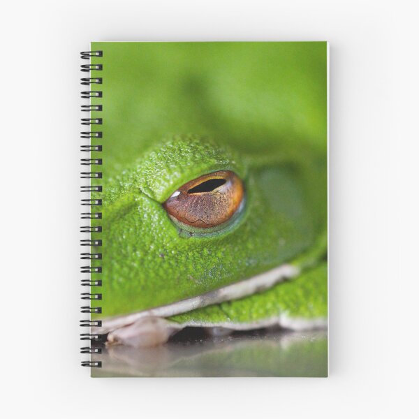 Item preview, Green Frog designed and sold by Philip Alexander.