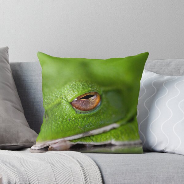 Item preview, Green Frog designed and sold by Philip Alexander.