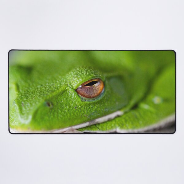 Item preview, Green Frog designed and sold by Philip Alexander.