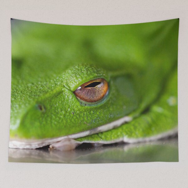 Item preview, Green Frog designed and sold by Philip Alexander.