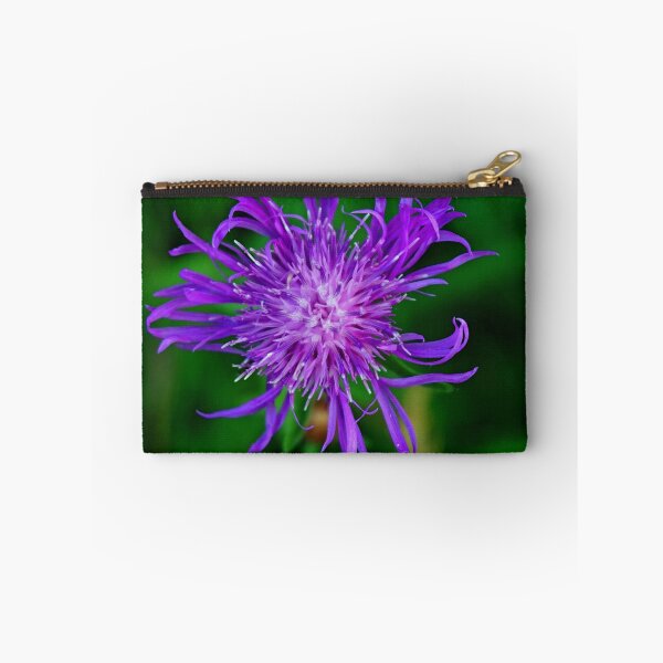 Item preview, Purple cornflower designed and sold by MarionsArt.
