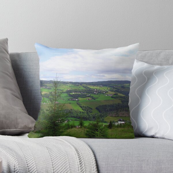 Throw Pillow