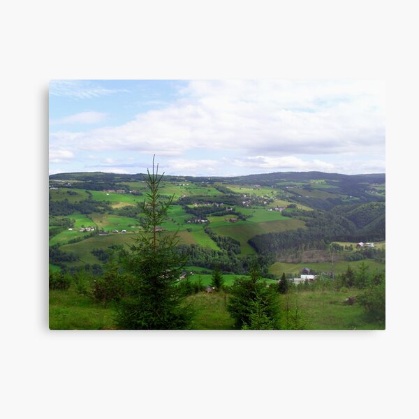 Metal Print