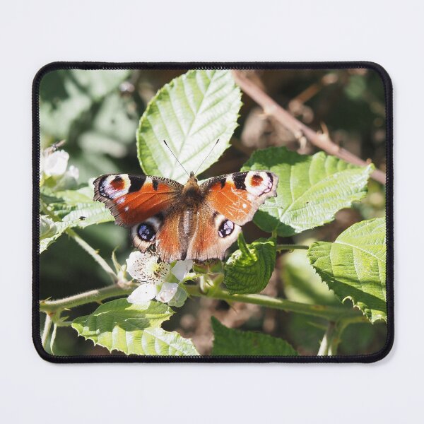 Item preview, Butterfly Aglais io designed and sold by Syr'photographies.