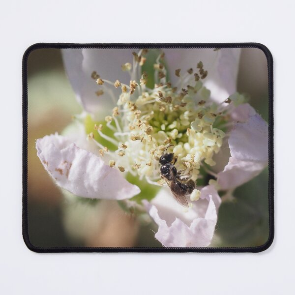 Item preview, Wild bee on bramble flower designed and sold by Syr'photographies.