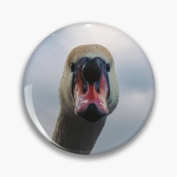 Item preview, Inquisitive swan designed and sold by WildEncounters.