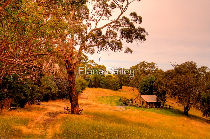 "Gumtree Cottage, Adelaide Hills" by Elana Bailey Redbubble