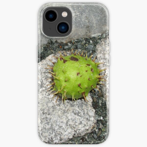iPhone 14 - Soft