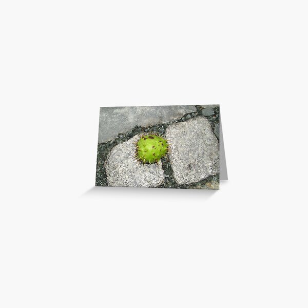 Greeting Card