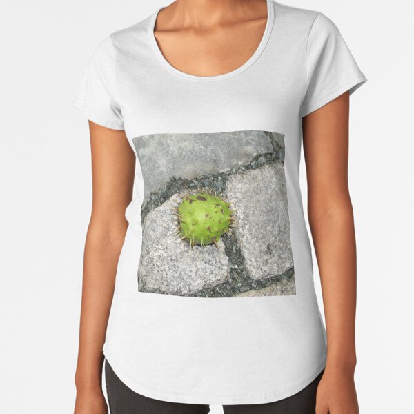 Premium Scoop T-Shirt