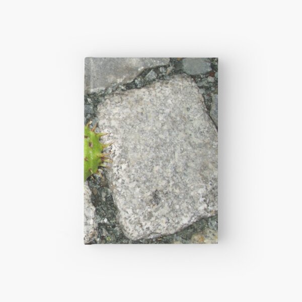 Hardcover Journal