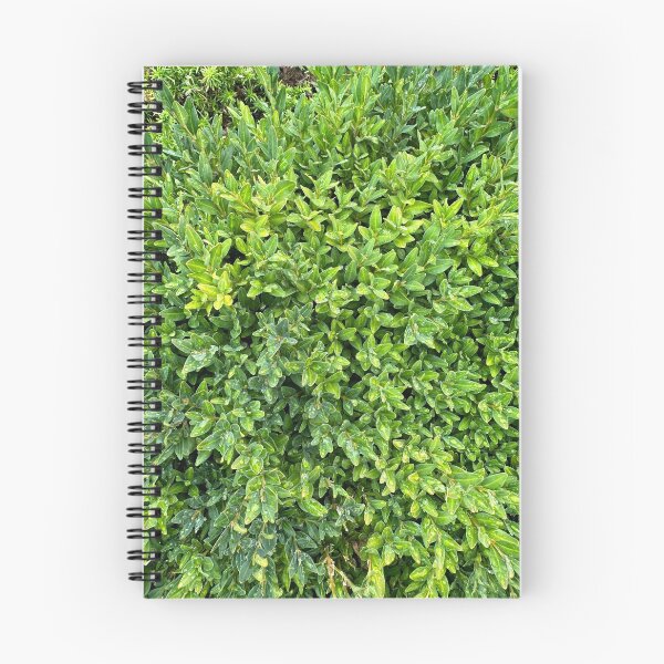 Item preview, Green plant foliage texture designed and sold by tony4urban.