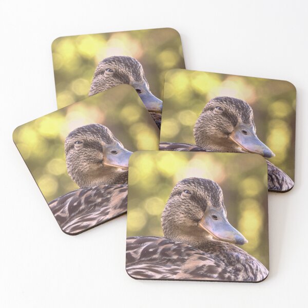 Item preview, Mallard relaxing designed and sold by WildEncounters.
