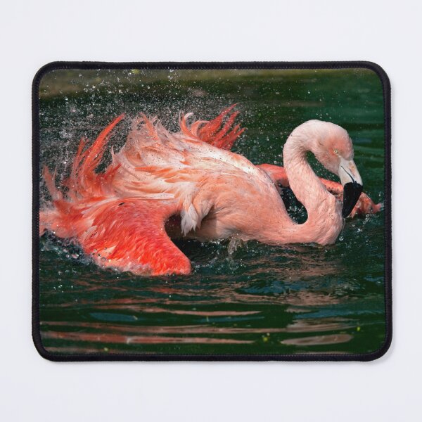 Item preview, Flamenco Dance designed and sold by Krys Bailey.
