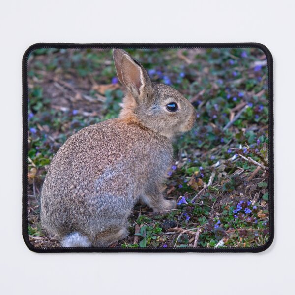 Item preview, Easter Bunny designed and sold by Krys Bailey.
