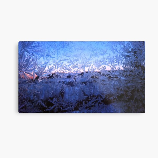 Metal Print