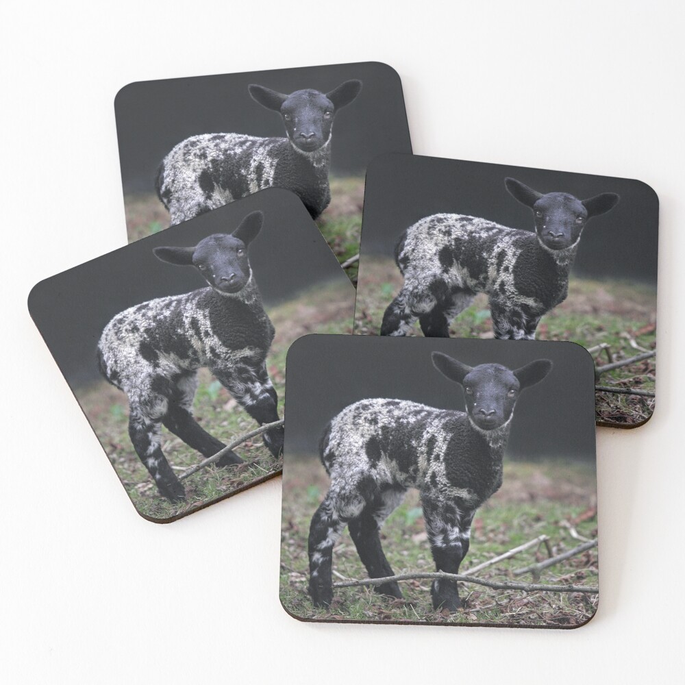 Item preview, Coasters (Set of 4) designed and sold by KrysBailey.