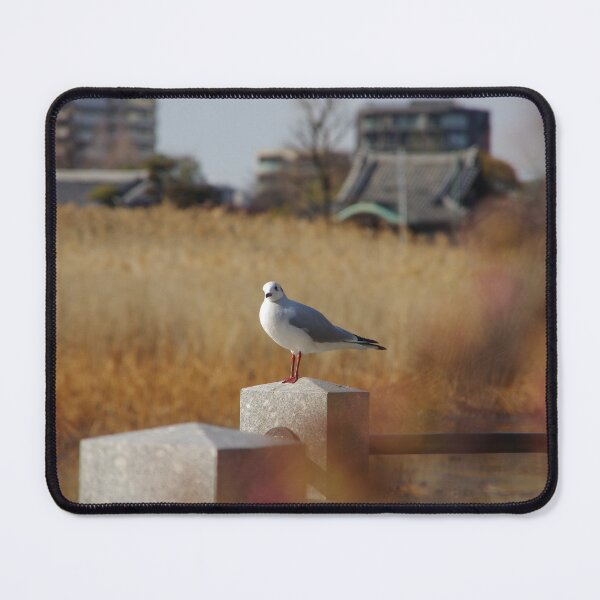 Item preview, Seagull (What do you want?) designed and sold by mymarvelous.