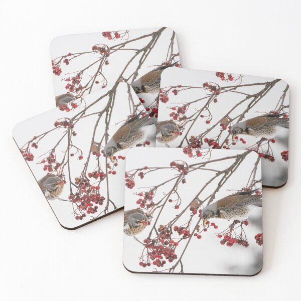 Item preview, Two fieldfares perch on a branch, eating berries designed and sold by Piotr Front.