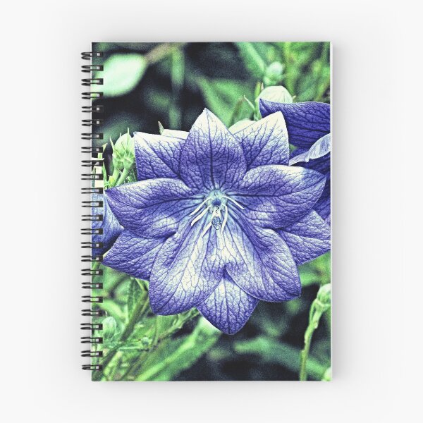 Item preview, Purple Balloon Flower Floral Art A105 designed and sold by byNicol.