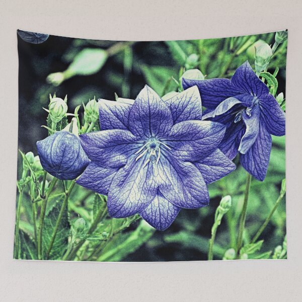 Item preview, Purple Balloon Flower Floral Art A105 designed and sold by byNicol.