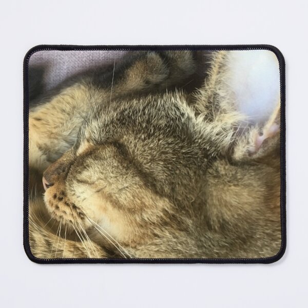Item preview, Cat Portrait designed and sold by Jasna Dragun.