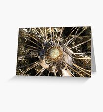 Cycad in the Dry. Greeting Card