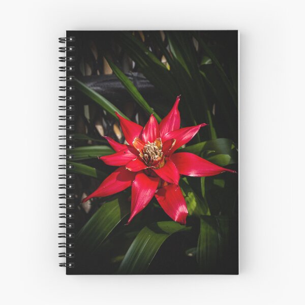 Artikelvorschau, Mitchell Park Kuppeln Blume entworfen und verkauft von Nick Caldwell.