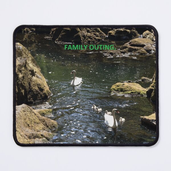Item preview, Family Outing. Swans on River. designed and sold by prestongeorge.