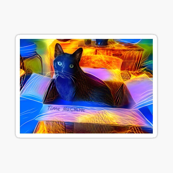 Schrödingers Time Cat Sticker