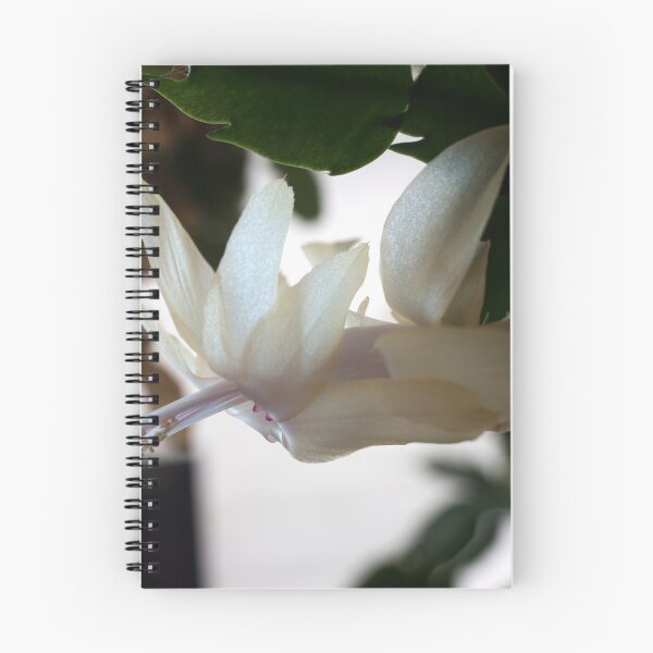 Item preview, Christmas Cactus in March designed and sold by Bryan Spellman.